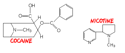 Tropane atom