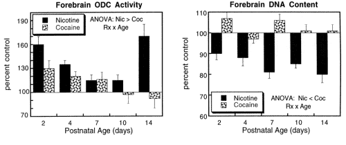 Prenatal exposure nicotine v. cocaine