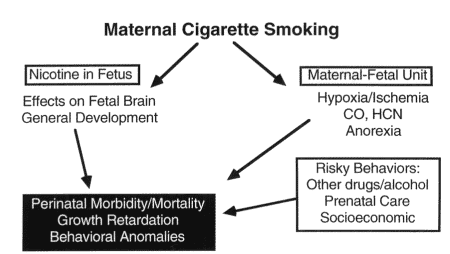 Variables adversely affecting perinatal outcomes