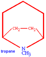 Tropane atom